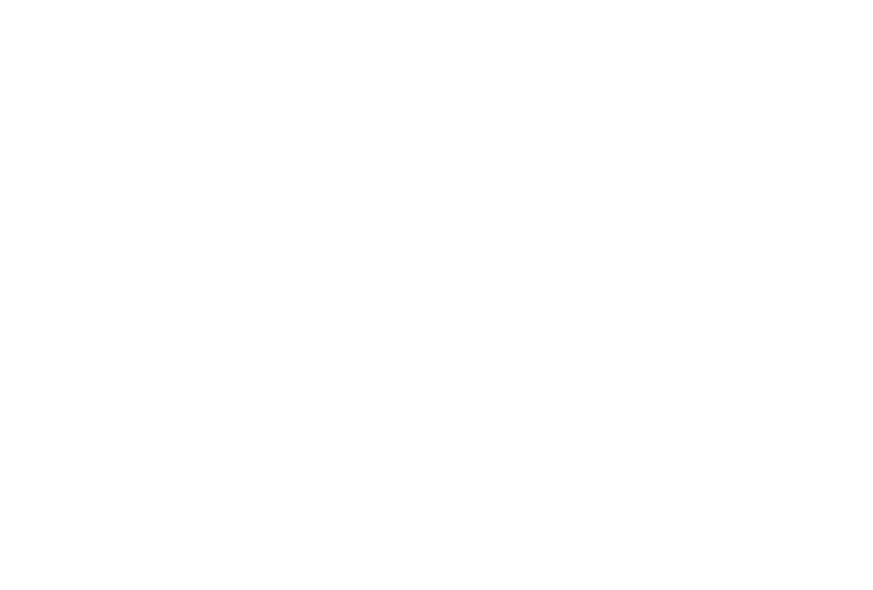 Self Deception Logo